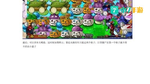 植物大战僵尸无尽版秘籍