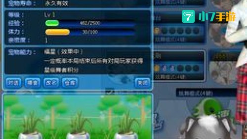 qq炫舞宠物