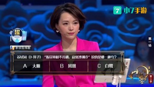 寂寞沙洲冷说的是哪种鸟：苏轼词中托物言志的大雁意象